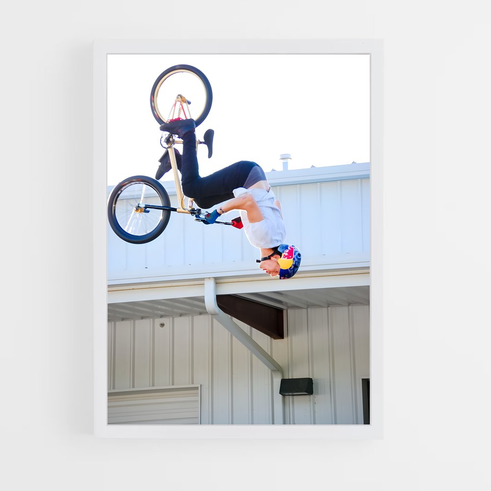 Poster Freestyle BMX (vue 3)
